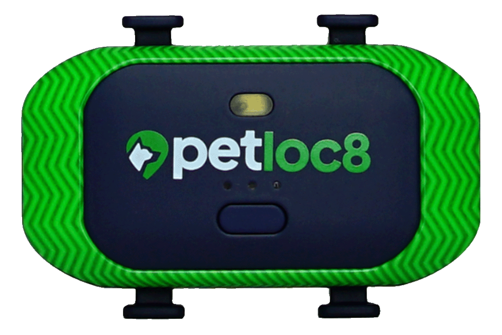 WallUniverse electronic distributor Elektronik pet tracker